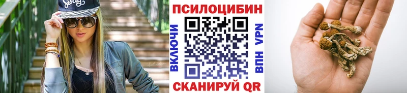 Купить где  Кола  Галлюциногенные грибы GOLDEN TEACHER 